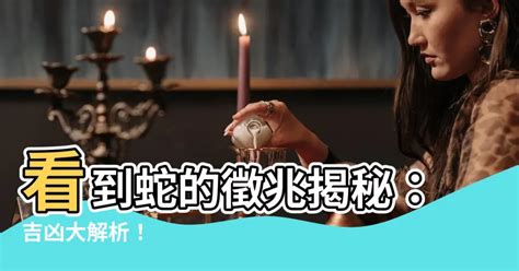 晚上看到蛇代表什麼預兆|【看見蛇代表什麼】看見蛇代表什麼？民俗專家揭露傳統文化中的。